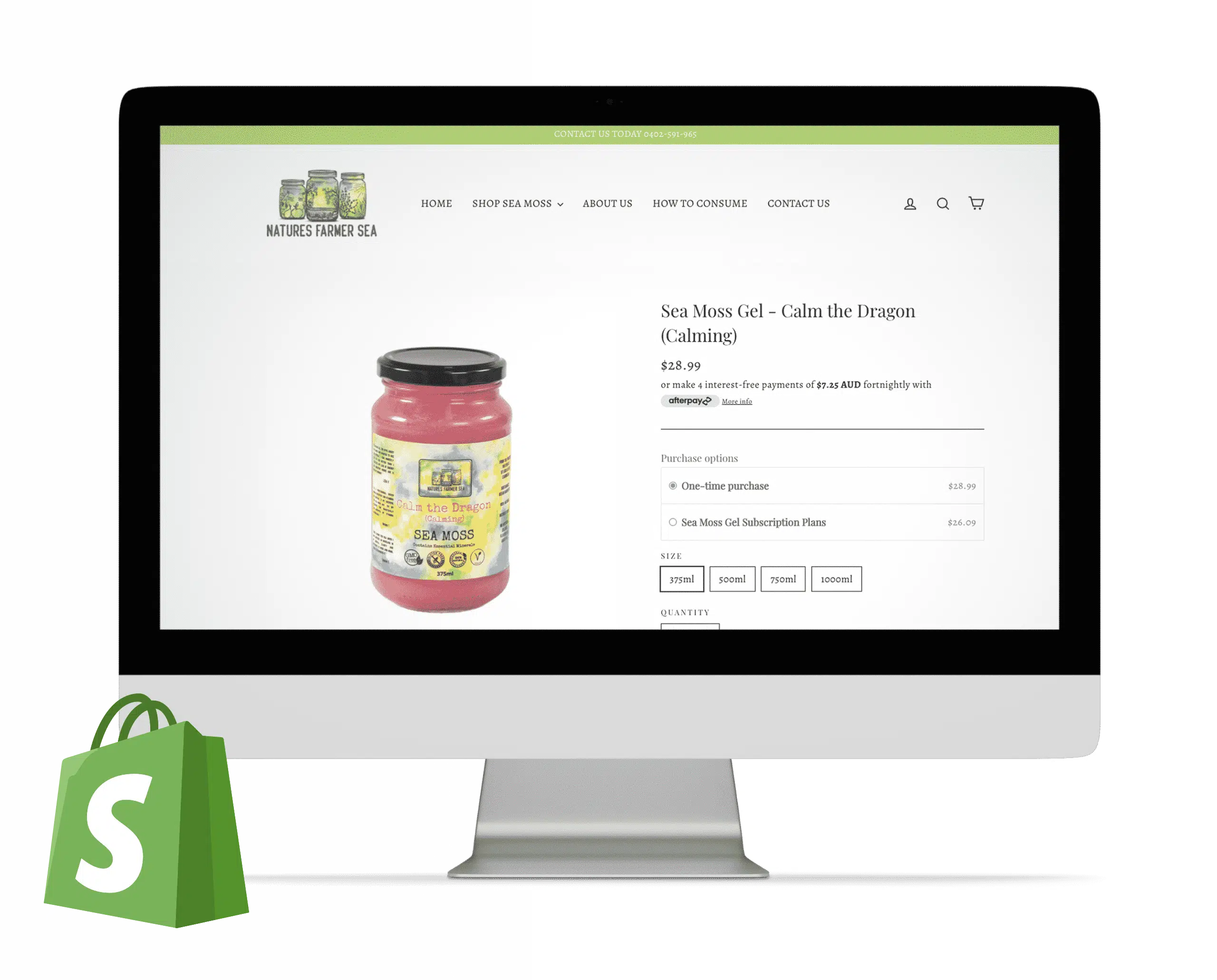 website development